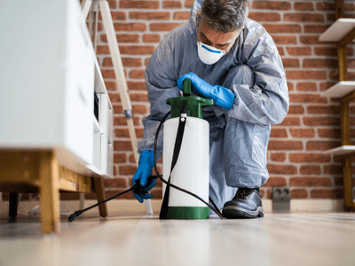 About North Gee Long Pest - pest control experts in North Geelong, Melbourne