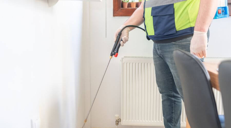 Professional pest control services in North Geelong, Melbourne